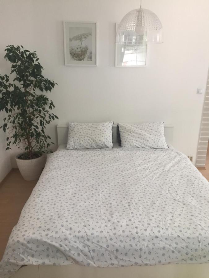 ズノイモApartman U Papouskuアパートメント エクステリア 写真